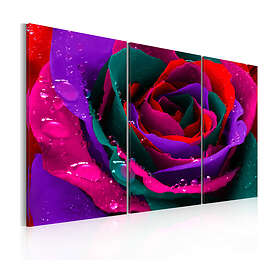 Arkiio Tavla rose Rainbow-färgade 90x60