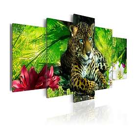 Arkiio Tavla Jaguar 100x50 A3-N6509