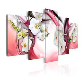 Arkiio Tavla Pink Melody 100x50 A3-N3928