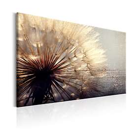 Arkiio Tavla Gentleness of Summer 90x60