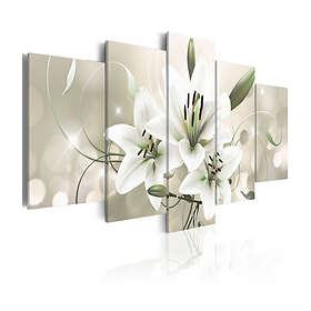 Arkiio Tavla Celadon Beauty 100x50 A3-N4028