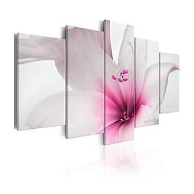 Arkiio Tavla Amarylis Pink Charm 100x50 A3-N6742