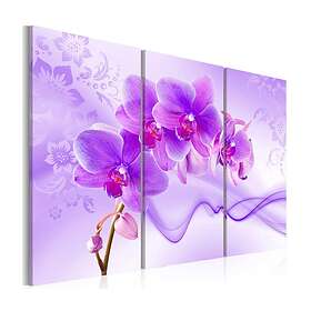 Arkiio Tavla Ethereal orchid violet 90x60