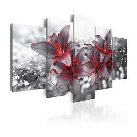 Arkiio Tavla Flowers Of Goddess 200x100