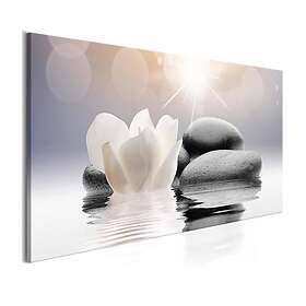 Arkiio Tavla Natural Lightness (1 Part) Wide 100x45 A3-N7789