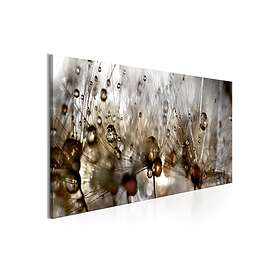 Arkiio Tavla Drops Of Water 150x50