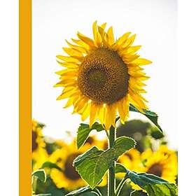 Composition Notebook: Yellow College Ruled Beautifully Designed Composition Notebook. Sunflower.