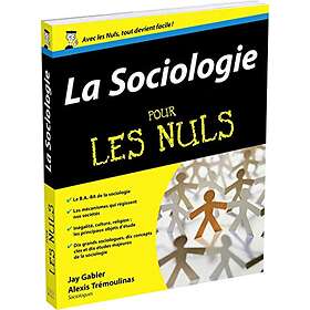 Sociologie pour les Nuls (La)
