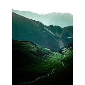 Coloring Book Malerifabrikken Poster The Passage Unisex Grøn