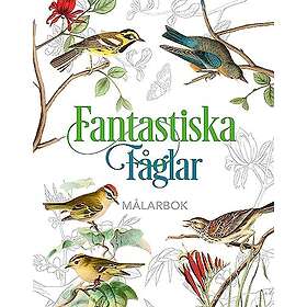 Coloring Book Fantastiska Fåglar Målarbok