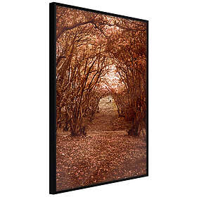 Coloring Book Inramad Poster / Tavla Quiet Path