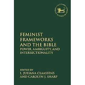 Feminist Frameworks and the Bible