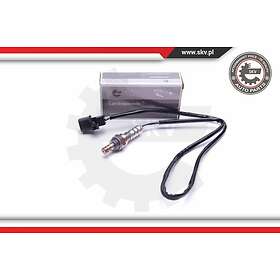 Esen SKV Lambdasond 09SKV438