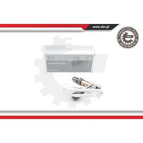 Esen SKV Lambdasond 09SKV648