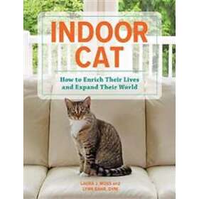 Indoor Cat