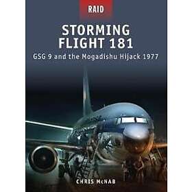 Storming Flight 181