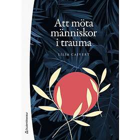Att möta människor i trauma : hur kan vi bemöta traumadrabbade individer?