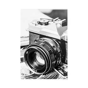 Malerifabrikken Poster Vintage Photo Svart