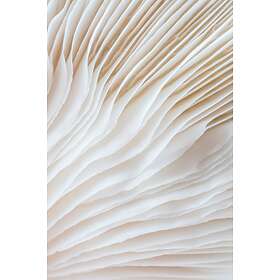 Malerifabrikken Poster Organic lines 2 Beige