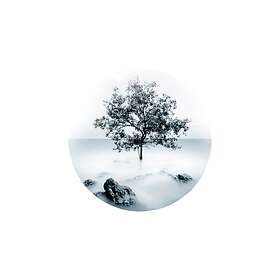 Malerifabrikken Tavla Photo D´Art No 6 Vit