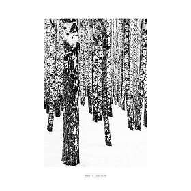 Malerifabrikken Poster White Edition 1 Svart