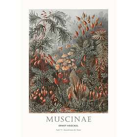 Malerifabrikken Poster Tafel 72 Grön