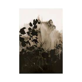 Malerifabrikken Poster Silhouet Leaves 2 Svart