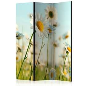 Arkiio Rumsavdelare Daisies Spring Meadow 135x172 cm A3-PARAVENTtc0764