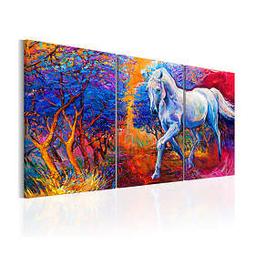 Arkiio Tavla Valley Of Fantasy of 120x60 A3-N5588-DKX