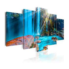 Arkiio Tavla Treasures Of Nature of 100x50 A3-N6362