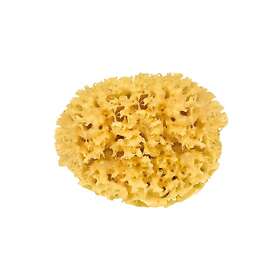 Croll & Denecke Natural Bath Sponge