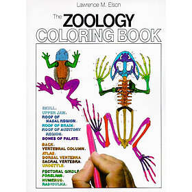 L M Elson: Zoology Colouring Book, The