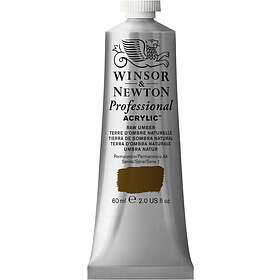 Winsor & Newton Professional Artists Acrylic 60ml RAW UMBER
