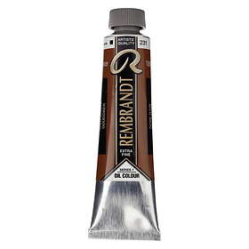 Rembrandt Oljemaling Gold Ochre 40ml - 231