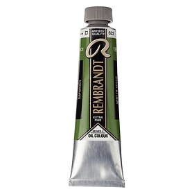 Rembrandt Oljefärg 40 ml Sap Green - 623