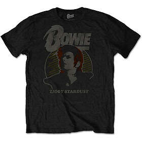 Bowie: Unisex T-Shirt/Vintage Ziggy