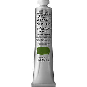 Winsor & Newton W&N Akr 200ml Perm Sap Green
