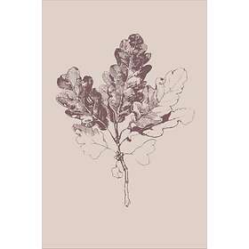 Malerifabrikken Poster Botanica 3 Beige