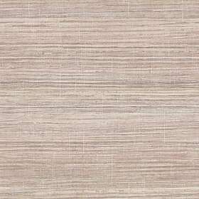 Wallquest Maui TP81411