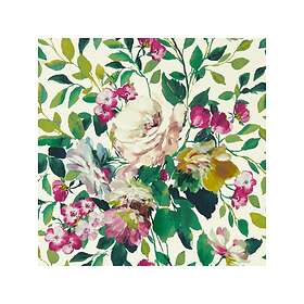 Clarke & Bloom Fuchsia W0139/03