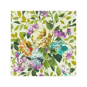 Clarke & Bloom Amethyst W0139/01