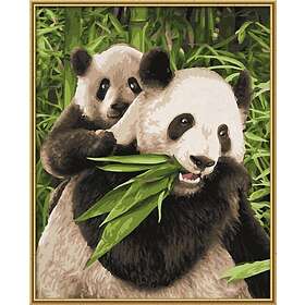 Panda Schipper 609240712 Painting by Numbers Bears New