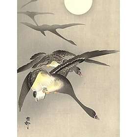 Extra Ohara Koson Geese At Full Moon Japanese Painting Large XL Wall Art Poster 