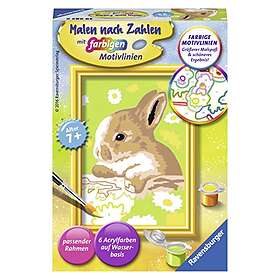 Ravensburger 296828"Bunny Flecki Painting By Numbers Set