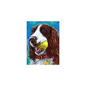 Animal YUNLINZI Paint by Numbers for Adults, DIY Paint by Numbers for Adults, Sp