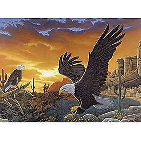 Royal & Langnickel Junior Painting By Numbers Kit Sky Messenger