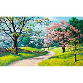 Cherry XUNXI Paint by Numbers For Adults Kids DIY Oil Painting Gift Kits Canvas Print Wall Art Home Decoration 16*20 " -- Blossom Trail (1, 