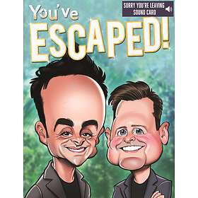 Ant & Dec Sorry You're Leaving Large Greeting Sound Card Really Wild Cards