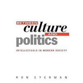 Between Culture and Politics Intellectuals in Modern Society Engelska Hardback