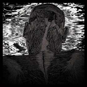 Levitas Asher: Liut Harness LP